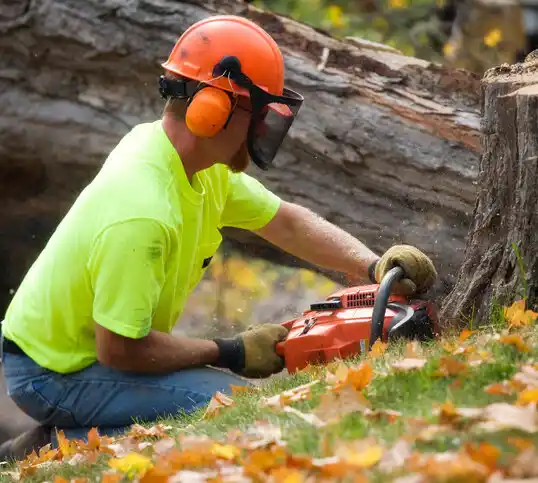 tree services Berthold